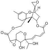 カエンタケの有毒物質　サトラトキシンH